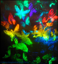 Cherry Optical Holography Butterfly Hologram by Nancy  Gorglione & Greg Cherry view 1